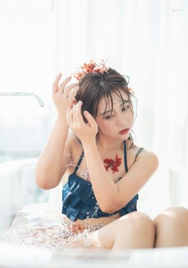 特种兵之火凤凰高清免费观看