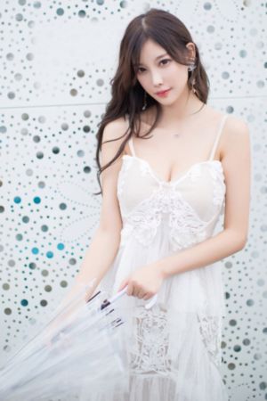 但愿人长久