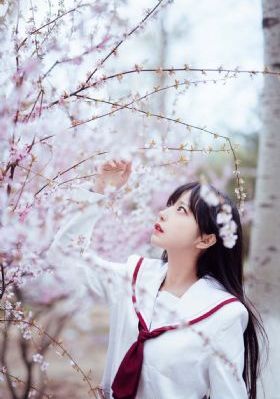 苍兰诀电视剧免费观看